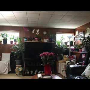 Meet your Posher, Jean